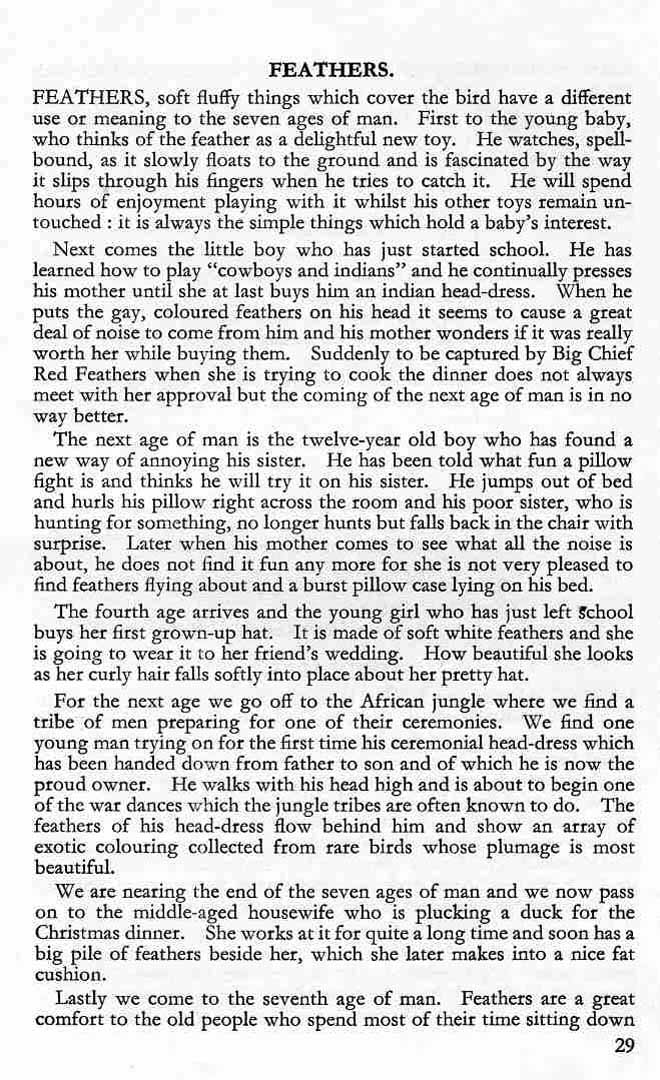 Page 29 1959