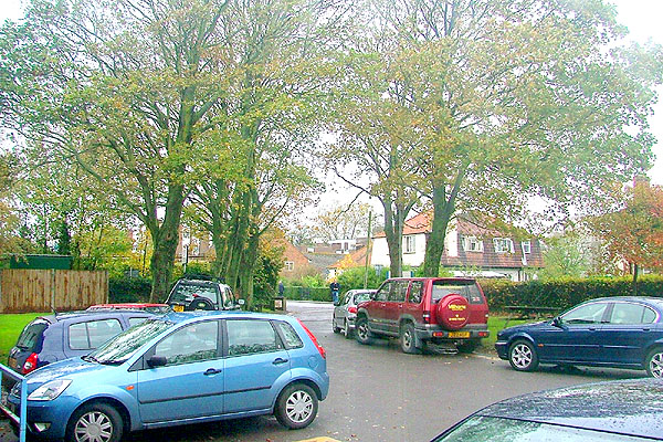 View from the Head's Study looking North-West 